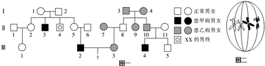 请染色体遗传学图常染色体显性遗传 系谱常染色体显性系谱图x 染色体