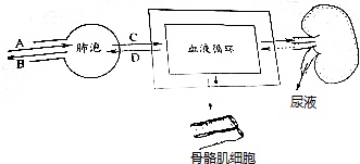 作业帮