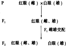 作业帮