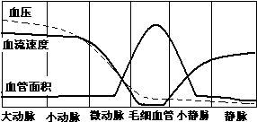 作业帮