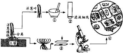 作业帮