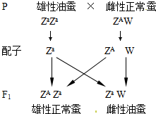 作业帮