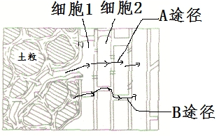 作业帮