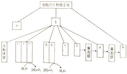 作业帮