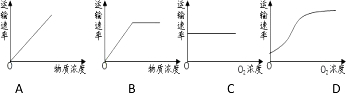 作业帮