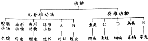 作业帮