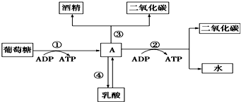 作业帮