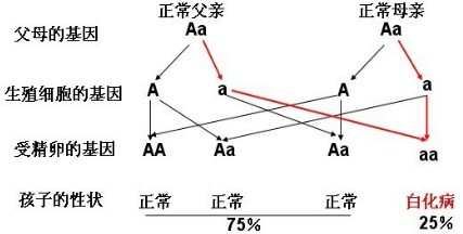 作业帮