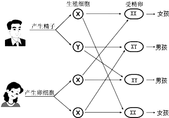 作业帮