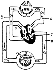 作业帮