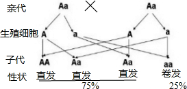 作业帮