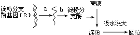 作业帮