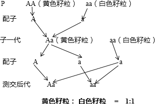 作业帮