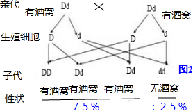 作业帮