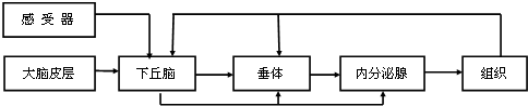 作业帮