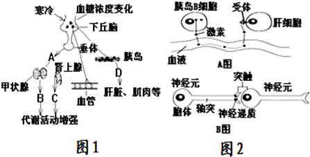 作业帮