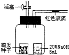 作业帮