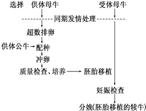 作业帮