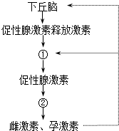 作业帮