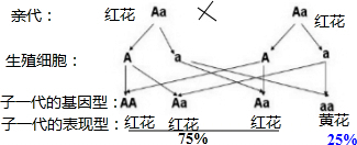 作业帮