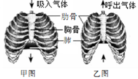 作业帮