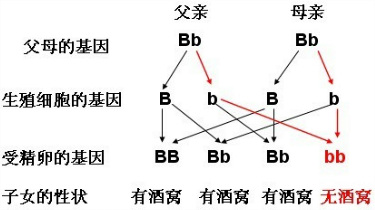 作业帮