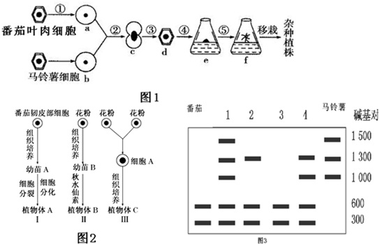 作业帮