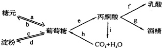 作业帮