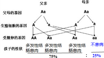 作业帮