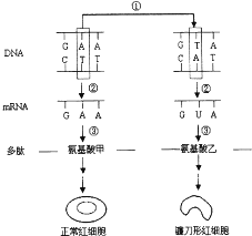 作业帮