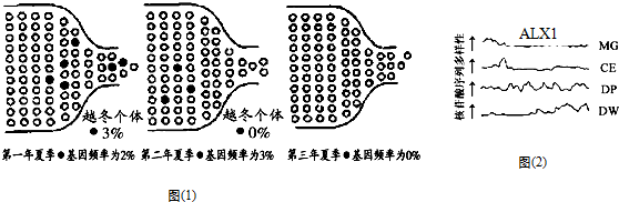 作业帮