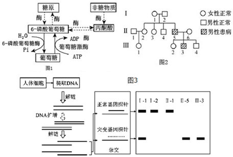 作业帮