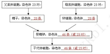 作业帮