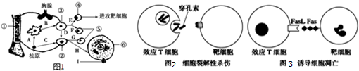 作业帮