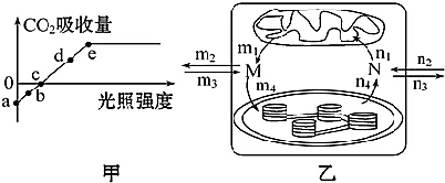 作业帮