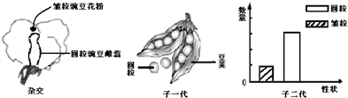 作业帮