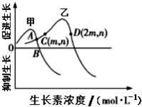 作业帮