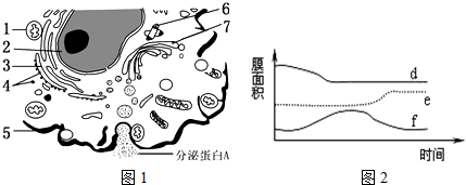 作业帮