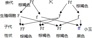 作业帮