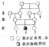 作业帮