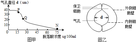 作业帮