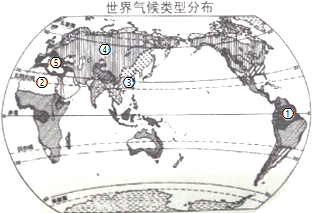 法国专家：中法务实合作促进全球和平与发展(图1)