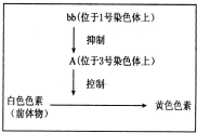 作业帮