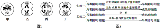 作业帮