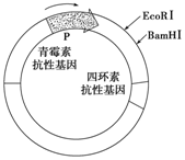 作业帮