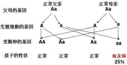 作业帮