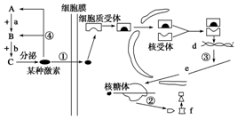 作业帮