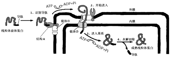 作业帮