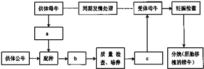 作业帮