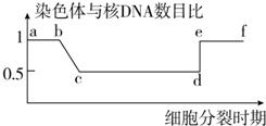 作业帮